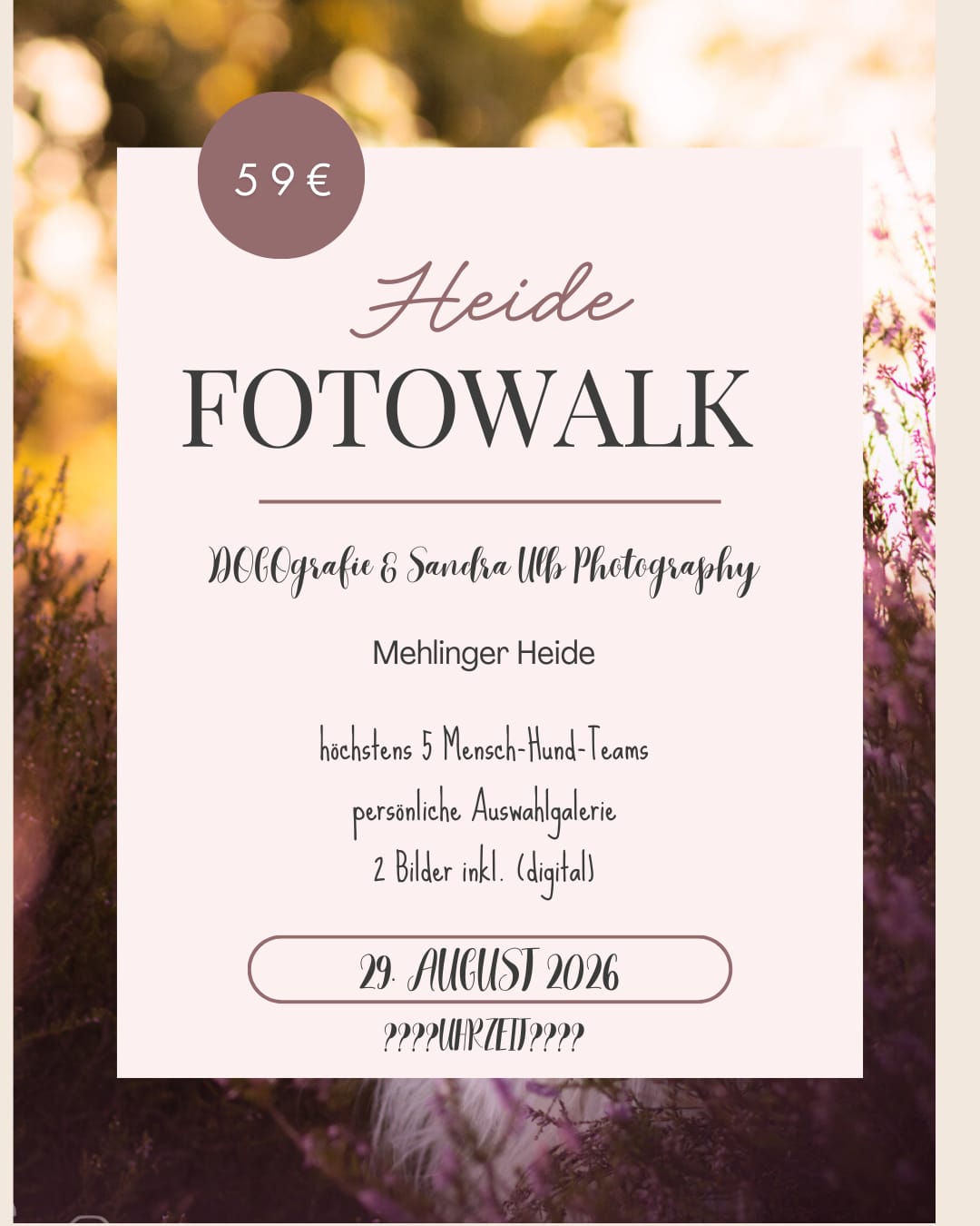 Fotowalk von Dogografie und Sandra Ulb Photography in der Mehlinger Heide am 29.08.2026 um 18.30 Uhr. Aktionspreis 59 EUR. Ein bearbeitetes Bild in Feinretusche je Fotograf ist inklusive.