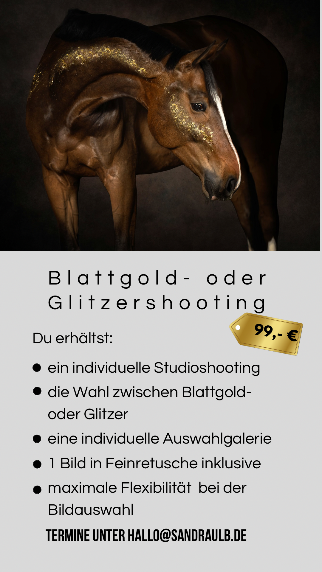 Werbung für ein Blattgoldshooting. Wangen und Hals des Pferdes sind mit Blattgold dekoriert. Es schimmert und sieht vor schwarzem Hintergrund edel aus. Kosten: 99 EUR. 1 Foto in Feinretusche inklusive